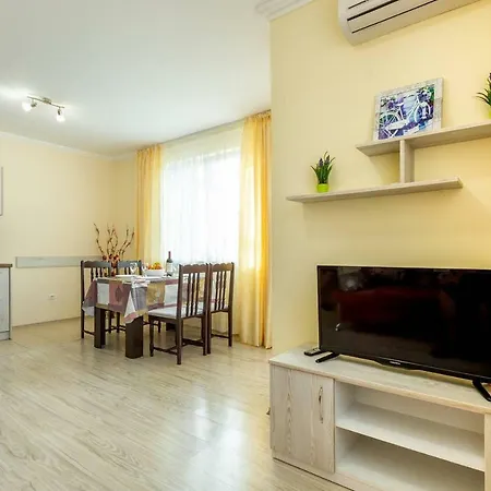 1bdr With Kitchen In Vip Zone Is Apartment